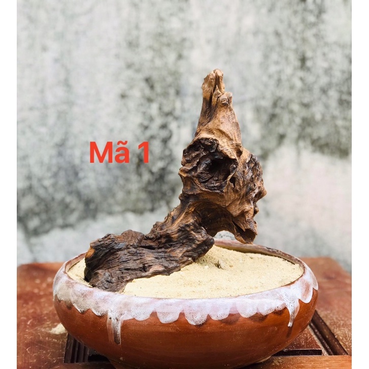 Gỗ lũa mini decor, setup hồ cá, terrarium ,...HÀNG TUYỂN CHỌN