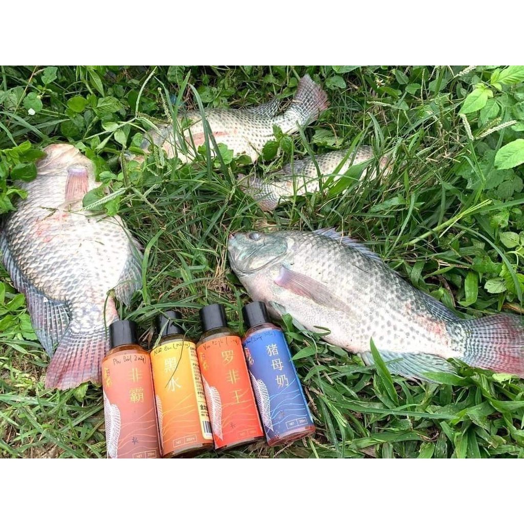 NƯỚC KHÓM KIM LONG - BỘ HƯƠNG  LIỆU KIM LONG HALONG FISHING