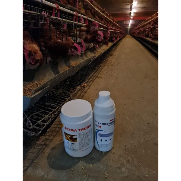 TETRA TRỨNG CHO VẬT NUÔI ĐẺ 1KG