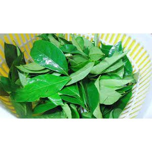 Cây mắc mật ăn lá (
 cây siêu tốt)