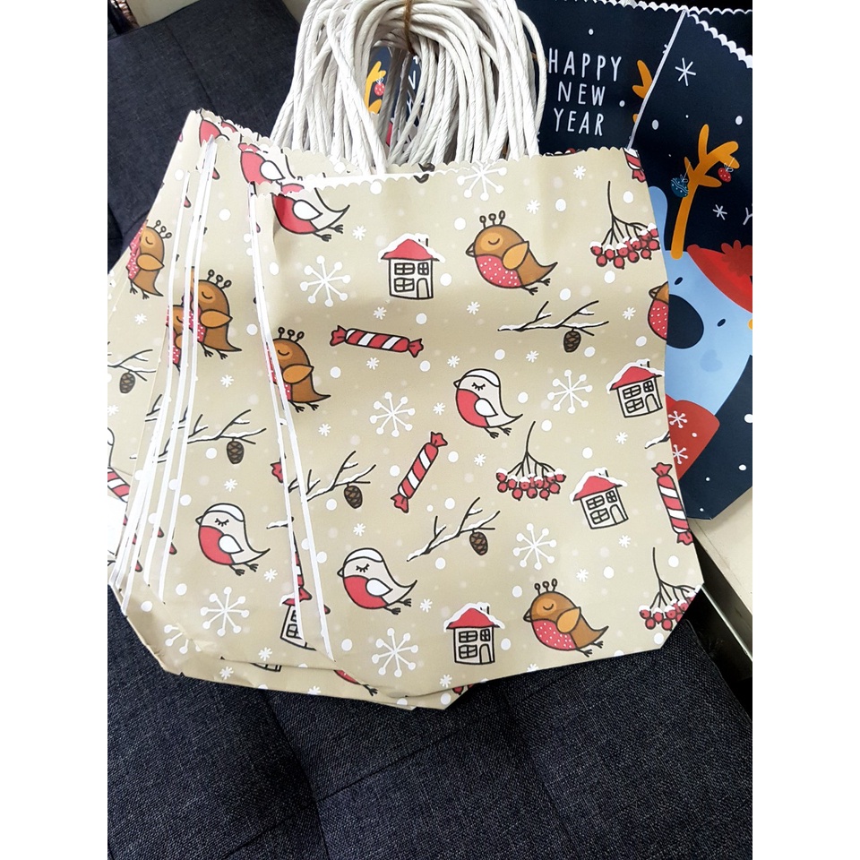 Túi giấy đựng quà giáng sinh 23cm x 17cm