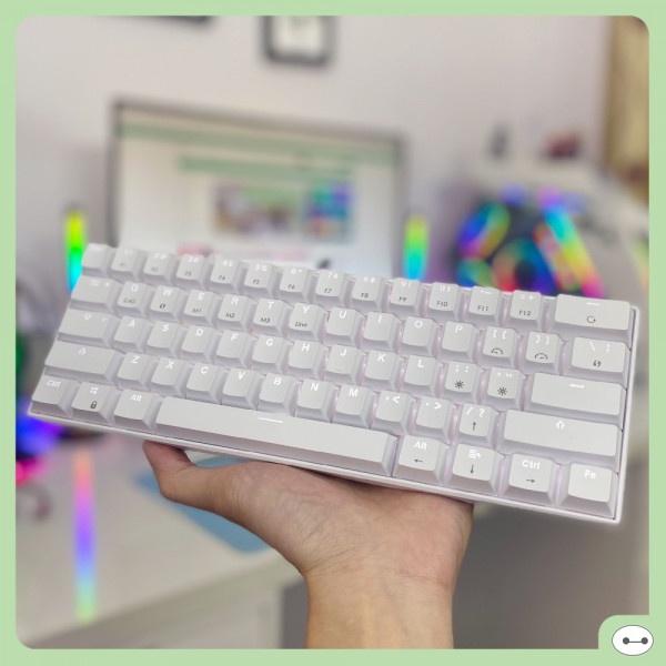 Bàn Phím Cơ Kananic Readson WL61 Bluetooth Trắng Red Switch - Đỗ Lợi Computer