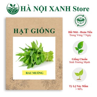 [HẠT GIỐNG] Rau muống lá tre (gói 100gr), lên mầm nhanh - chống chịu sâu bệnh - phù hợp trồng trên nhiều loại đất