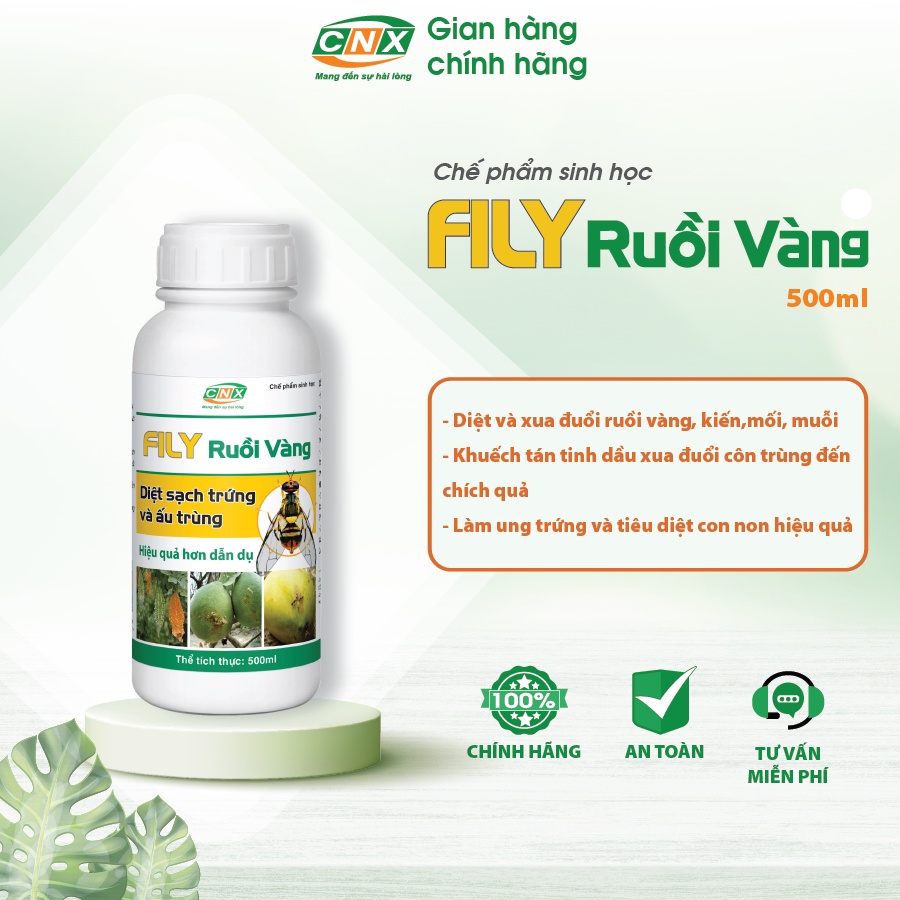 Chế phẩm sinh học FILY RUỒI VÀNG diệt ruồi vàng, kiến, muỗi an toàn, hiệu quả - diệt sạch trứng và ấu trùng - CNX 500ml