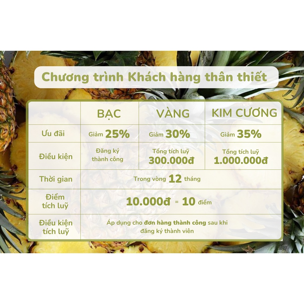 Nước Rửa Tay Sinh Học ENZYCO 90% Enzyme Từ Dứa 100ML An Toàn Lành Tính Dịu Nhẹ Da Tay Handwashing liquid