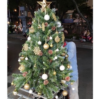 Cây thông 3 lá gắn trái thông/ trái cherry cao 1m5/ 1m2/ 0.9m - Christmas Tree With Pine Cones or Berries