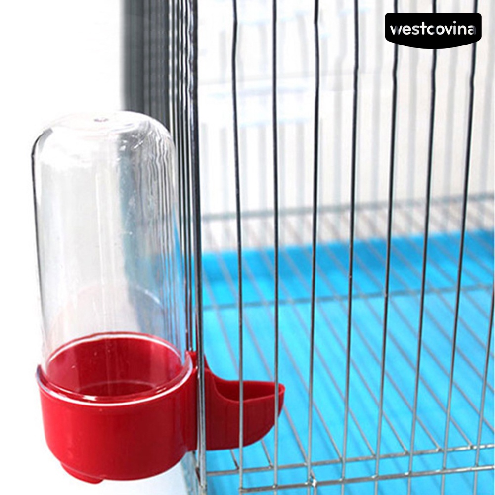 [COD]♘Cốc Uống Nước Tự Động Cho Chim Cảnh