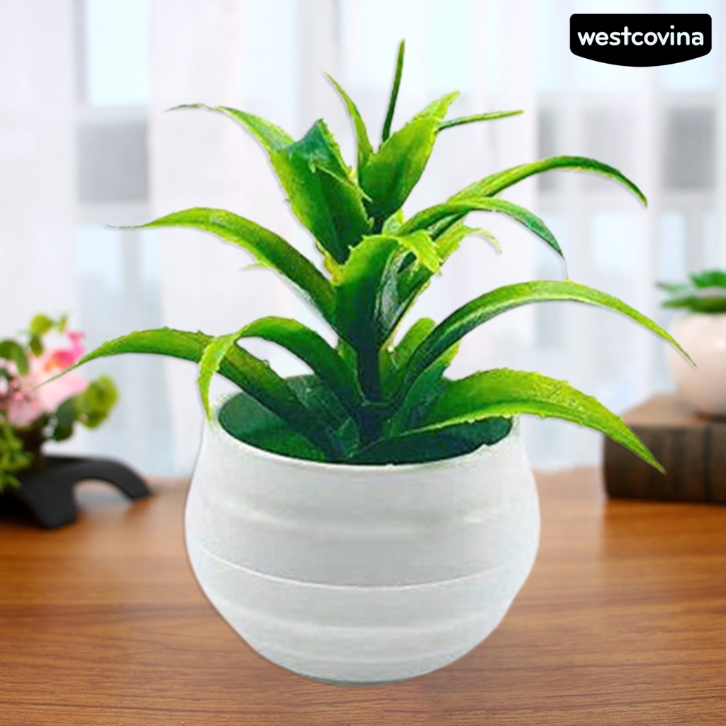[WEST]⚘Chậu Cây Cảnh Giả Mini Bằng Nhựa Dùng Trang Trí Nhà Cửa