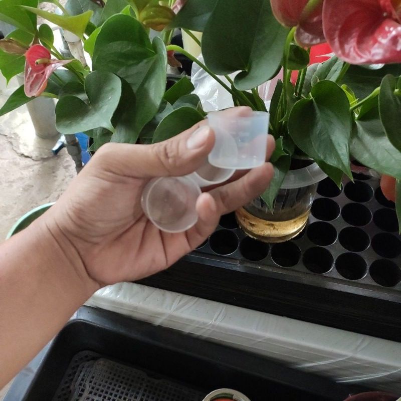 cốc đong chất lỏng 20ml, cốc lường có chia vạch bằng nhựa ( cốc chia vạch đong phân bón nước)