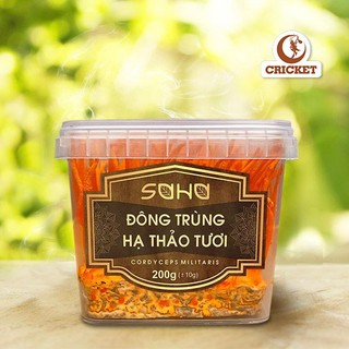Đông Trùng Hạ Thảo Tươi Saha Hộp 200gr-Dùng Ngâm Pha Trà Uống Phục Hồi Sức Khỏe-Hàng Tươi Giao Hỏa Tốc TP. HCM - CRICKET