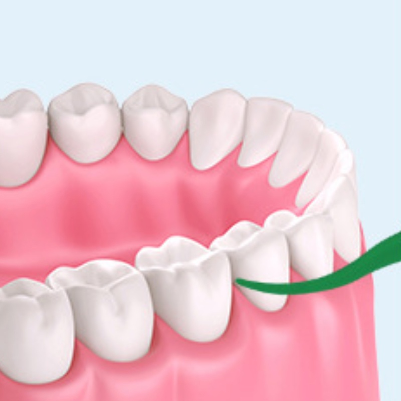 Tăm chỉ nha khoa vị bạc hà sợi chỉ nhỏ chăc chắn siêu mịn tăm chỉ nha khoa túi lớn 50 chiếc dùng cho gia đình