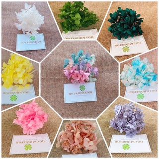 Hoa Cẩm Tú Cầu ❤Hoa Khô ❤ Nguyên Liệu Làm Handmade đổ resin