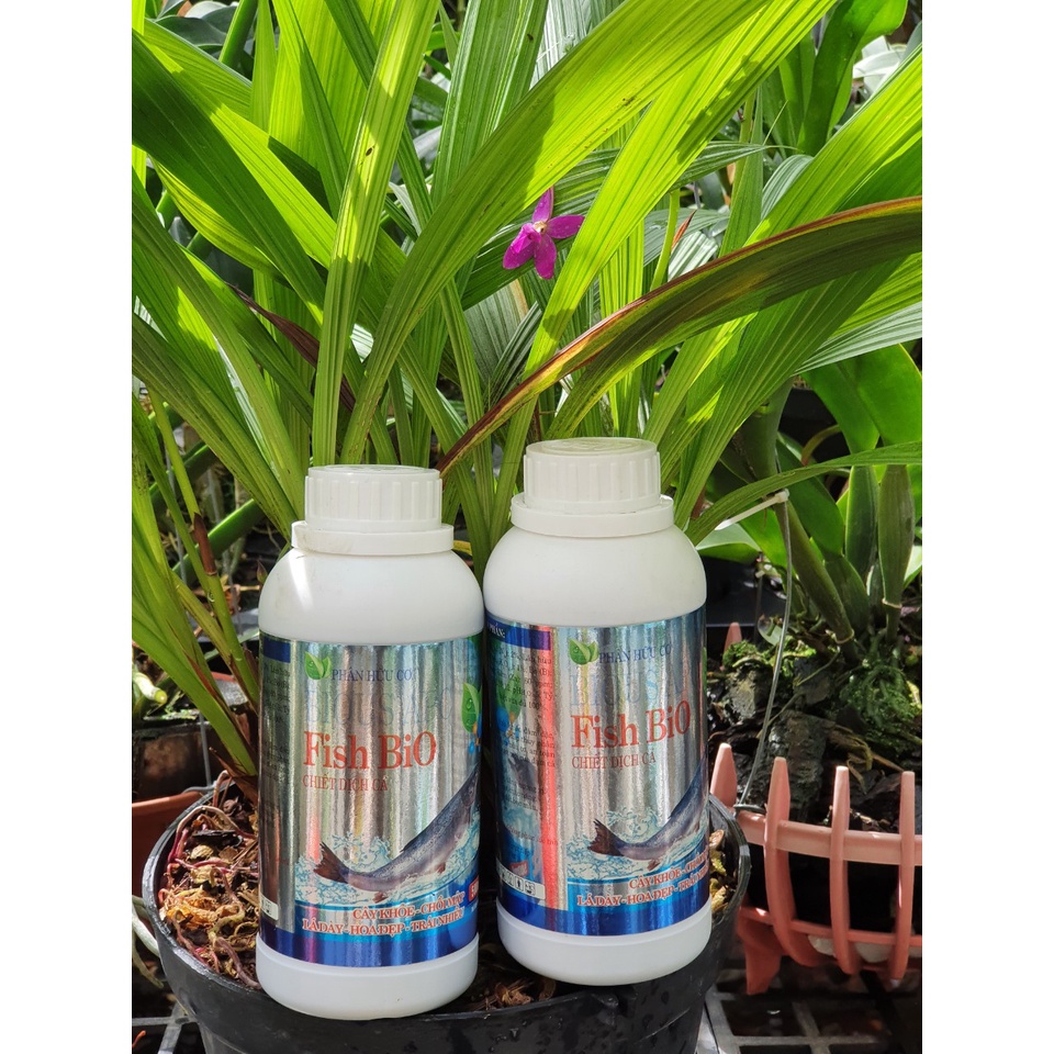 FISH BIO PHÂN CÁ KHÔNG MÙI THỂ TÍCH 500ML  -Mai Huy