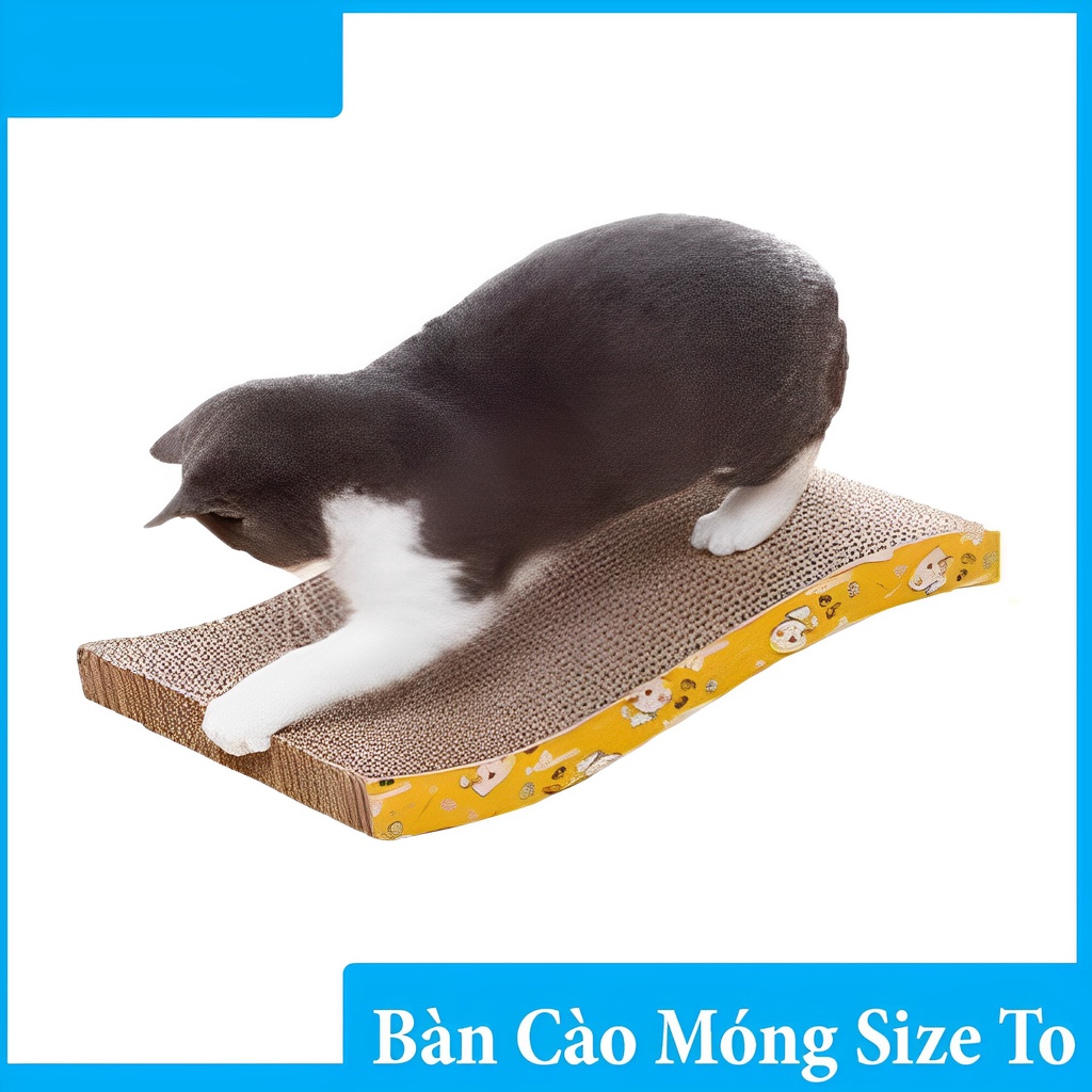 BÀN CÀO MÓNG BANG GIAY CHO MEO- bàn cào móng loại to cho mèo