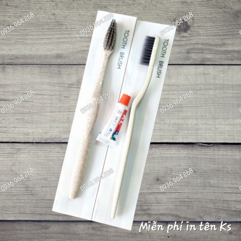 100 bàn chải cho khách sạn, nhà nghỉ