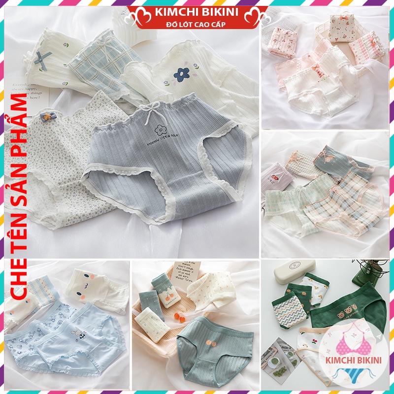 Quần lót cotton chống viêm nhiều màu sắc mẫu mã đa dạng KIMCHIBIKINI quân lót nữ xinh đẹp sễ thương QL037