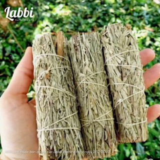 [Labbi] Xô Thơm Xanh (Blue Sage) - thu hút may mắn