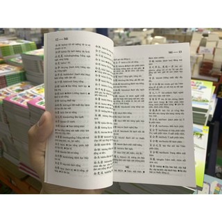 Sách - Từ Điển Trung Việt (Bìa cứng)