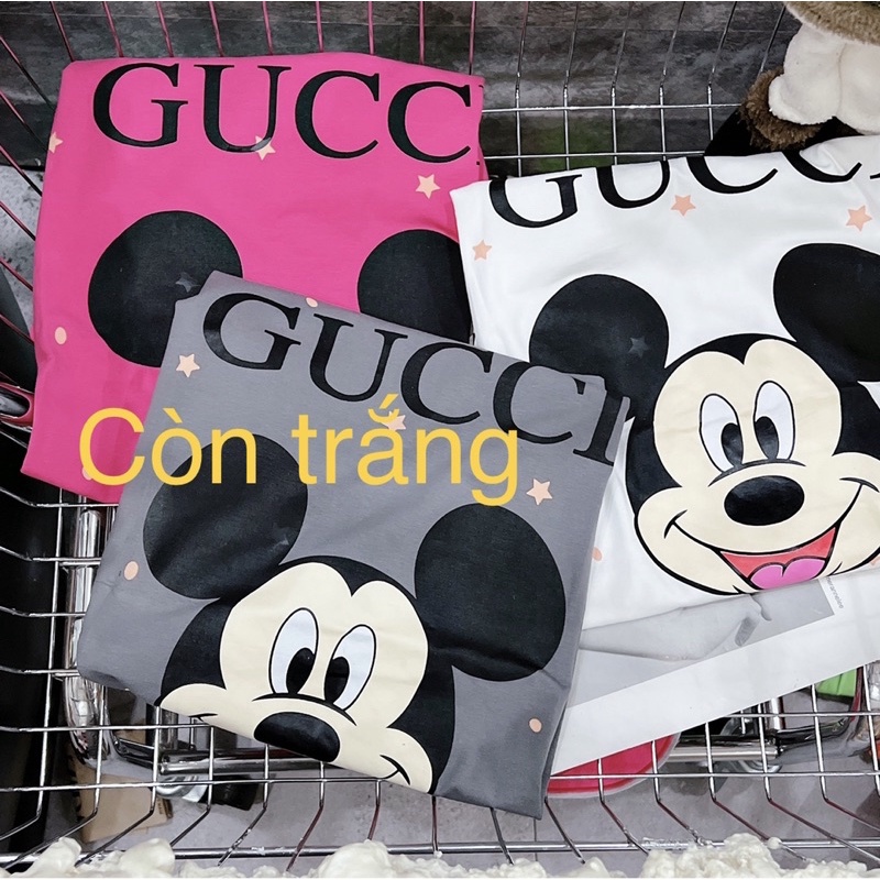 Áo Thun Nữ, Áo Phông Quảng Châu form rộng giấu quần  45- 70kg