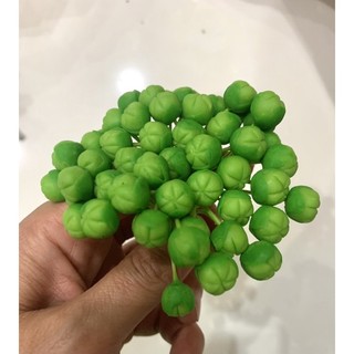 Nụ đào đất sét se chân( 1 bó 50 cái)