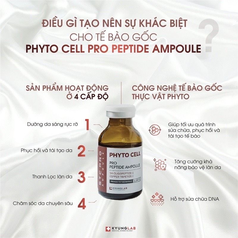 [ CÔNG TY] TẾ BÀO GỐC KYUNGLAB PHYTO CELL PEPTIDE AMPOULE 20ML