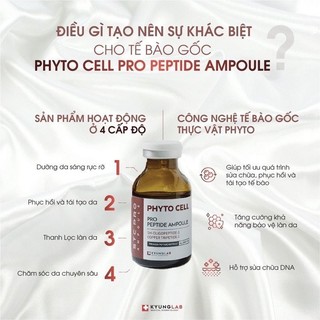 Tế bào gốc kyunglab phyto cell peptide ampoule 20ml