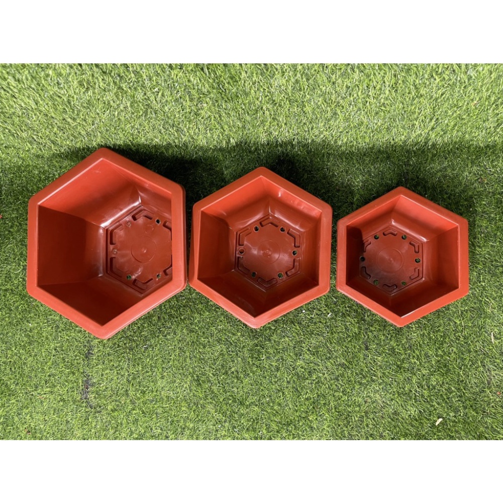 COMBO 10 Chậu nhựa ZOZO bonsai trồng cây loại 1 hàng BT