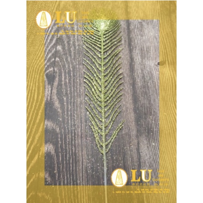 Cành đuôi công  trang trí oản thờ, giỏ hoa quà | LU