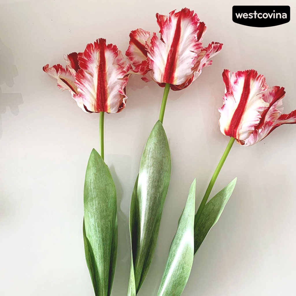 ⚘1 Bông Hoa Tulip Nhân Tạo 3D Sống Động Kích Thước 68cm Dùng Trang Trí
