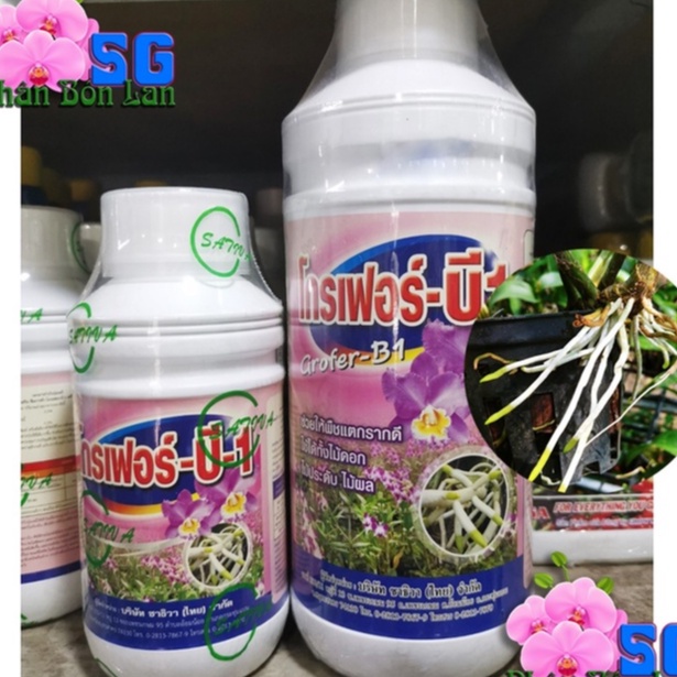 Vitamin B1 Grofer (B1 Super) Grofer – B1 ( B1 Thái ) Chai 1 Lít - KÍCH RỄ, DƯỠNG CÂY, DƯỠNG HOA