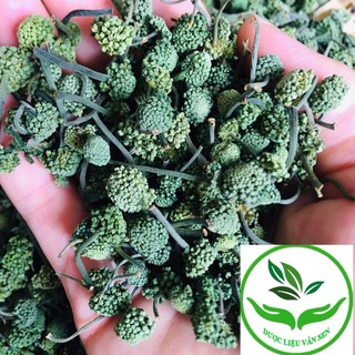 Nụ hoa tam thất khô thượng hạng loại 1 tốt cho sức khoẻ 100g