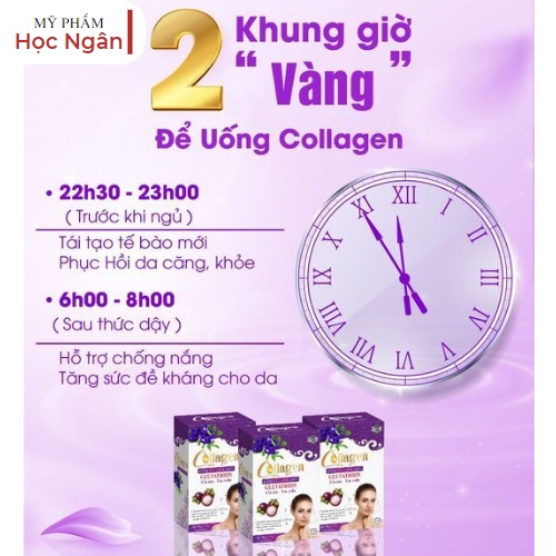 Collagen Măng Cụt Đậu Biếc Zenpali chính hãng hộp 30 gói Myphamhocngan1 | BigBuy360 - bigbuy360.vn