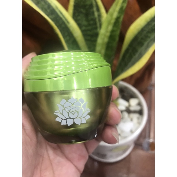 Kem đêm xanh thảo mộc nhụy tây natural white mới