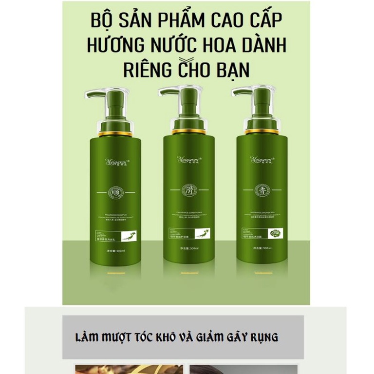 Sữa tắm / Dầu gội với hương thơm nước hoa Meiyanni 500ml