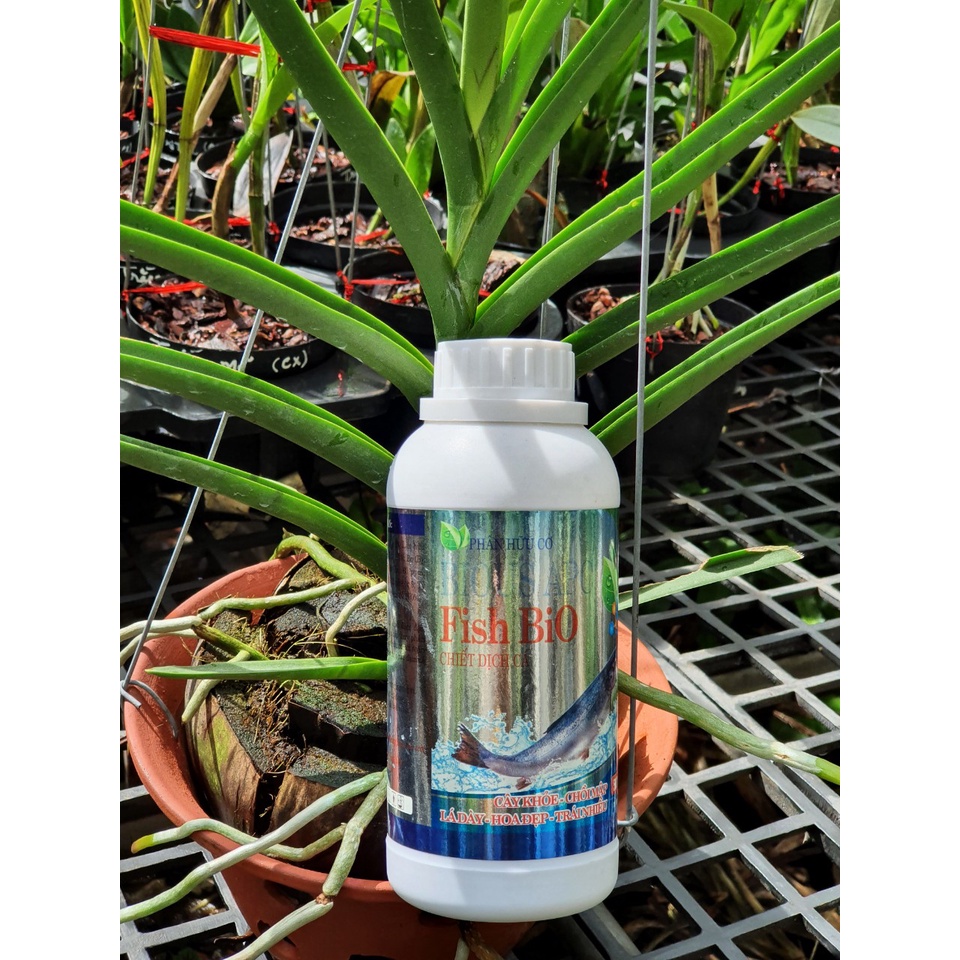 FISH BIO PHÂN CÁ KHÔNG MÙI THỂ TÍCH 500ML  -Mai Huy