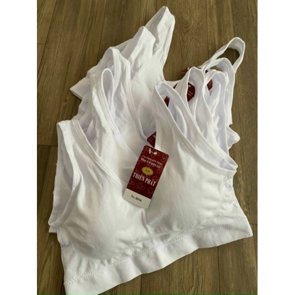 Áo Lót Dạng Chui Cho Bé-Áo Lá Xuất Khẩu Cho Gái Cấp 1,2,3 AB1