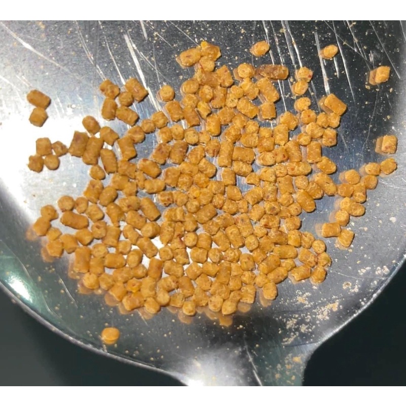 Cám Dưỡng thi đấu Chào Mào