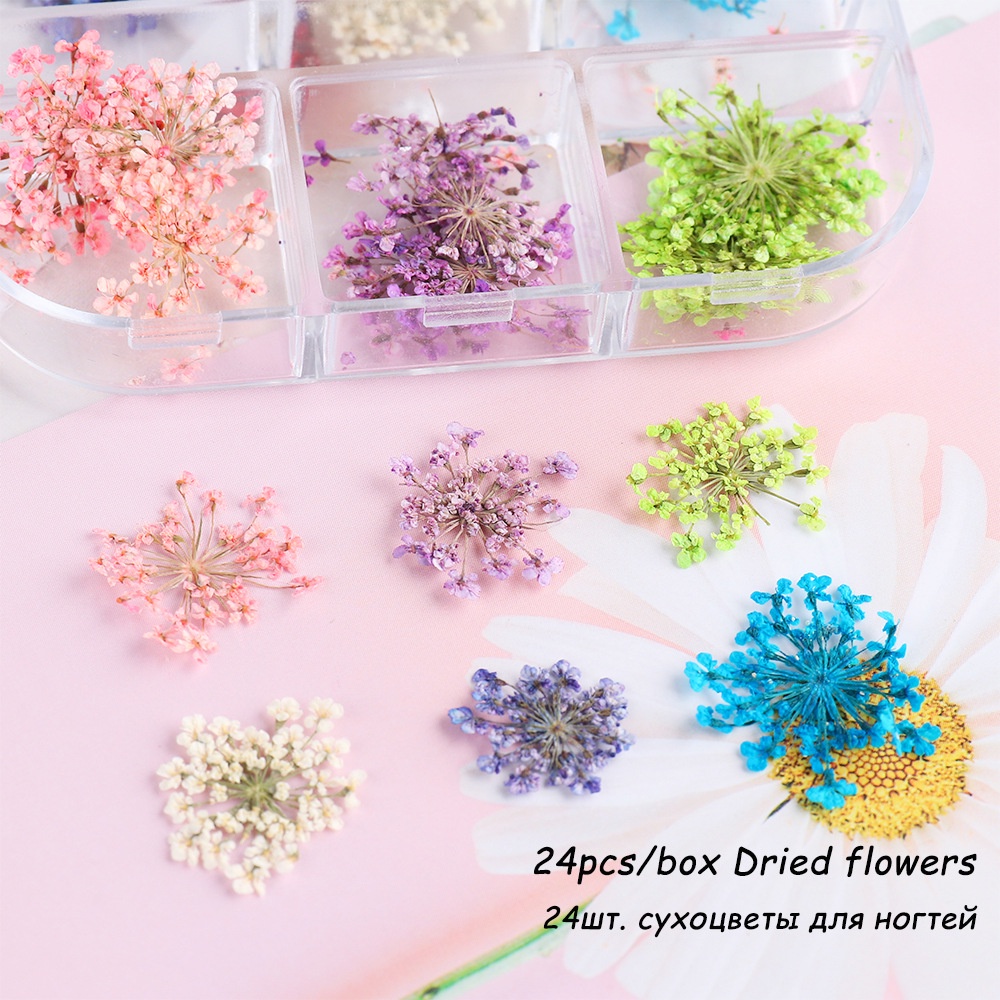 Hoa Khô Trang Trí Móng Tay Nghệ Thuật Mẫu Mới 2023