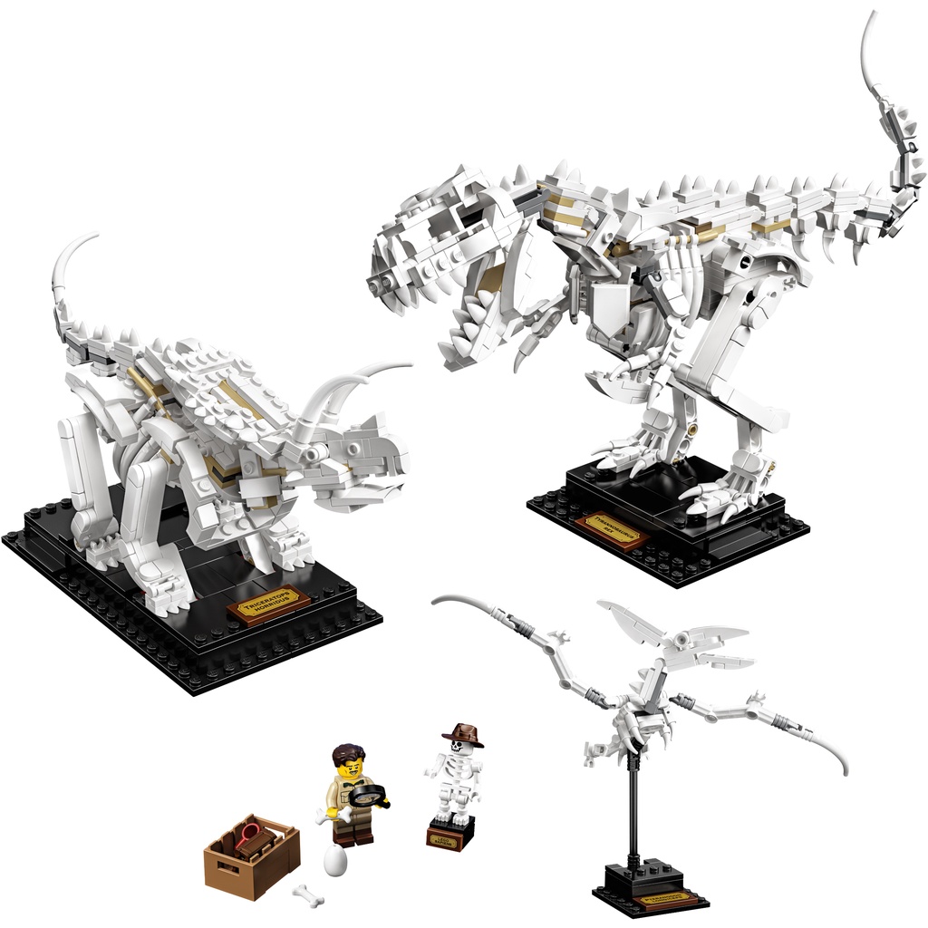 Lego 21320 - Hóa thạch khủng long