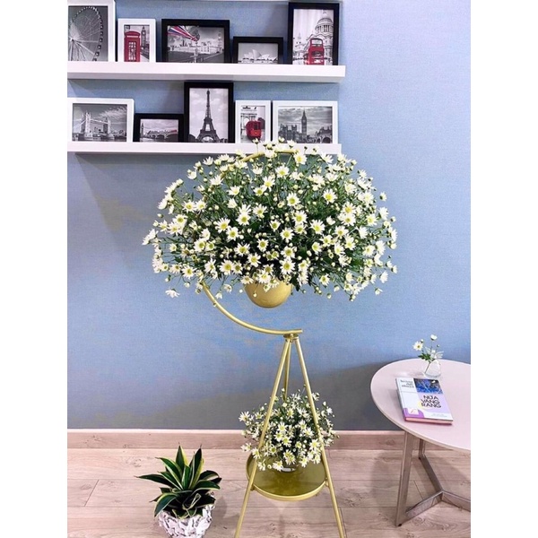 GIÁ TREO HOA - GIÁ CẮM HOA