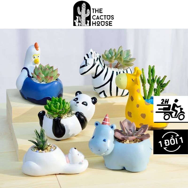 Chậu trồng sen đá, xương rồng, cây mini... - Chậu cây hình động vật chó, hươu, gấu, thỏ con, cá heo dễ thương