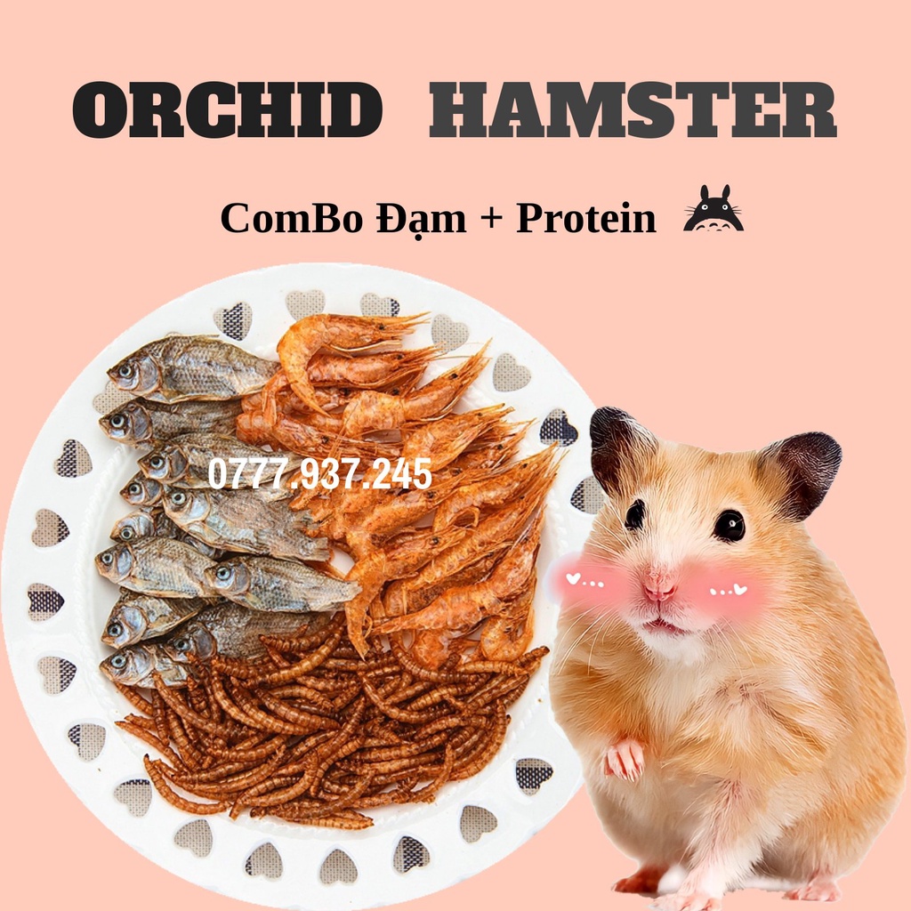Hạn Trùng Ngư Bổ Sung Đạm + Protein Kích Thích Vị Giác Bé Ngon Miệng Hơn