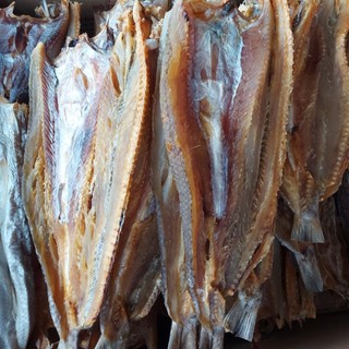 1kg cá mối khô loại 1.