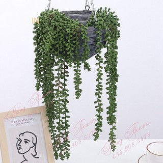Dây hạt lộc vừng giả trang trí decor dài 60cm gồm nhiều nhánh