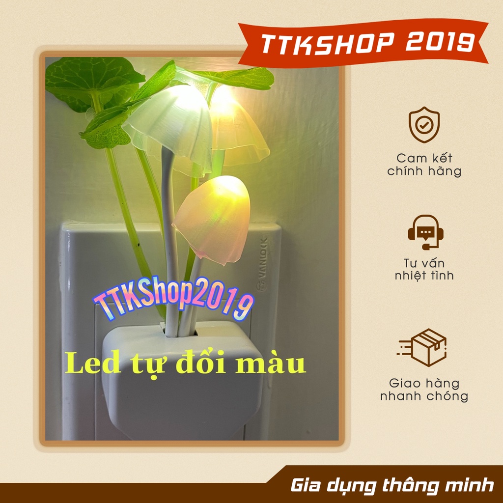 Đèn ngủ hình nấm ⚡ SIÊU HOT ⚡ Đèn led đổi màu cảm ứng tự bật tắt khi mở đèn, độ sáng êm dịu, thiết kế độc đáo