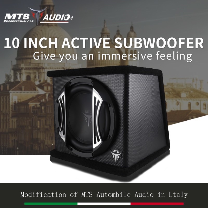 Loa Bas nắp trong ô tô-  MTS -VX10 chính hãng