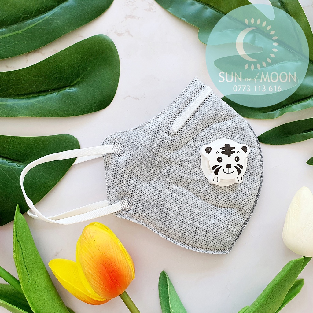 Khẩu trang trẻ em 3D (N95+) CARBON chống bụi mịn pm2.5 Safelife Vietnam (Có thể giặt lại) Túi 05 cái.