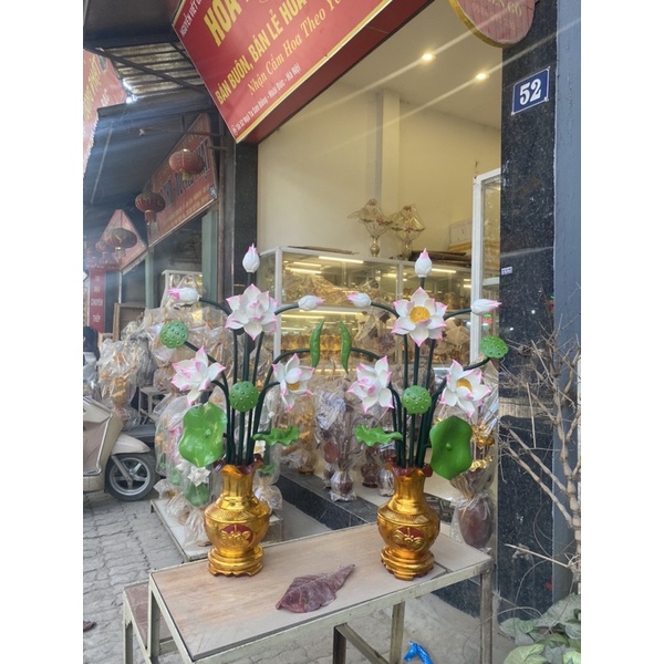 Bình Sen Trắng Cao 87cm