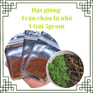 Hạt giống cây thủy sinh trân châu ngọc trai gói 5gram