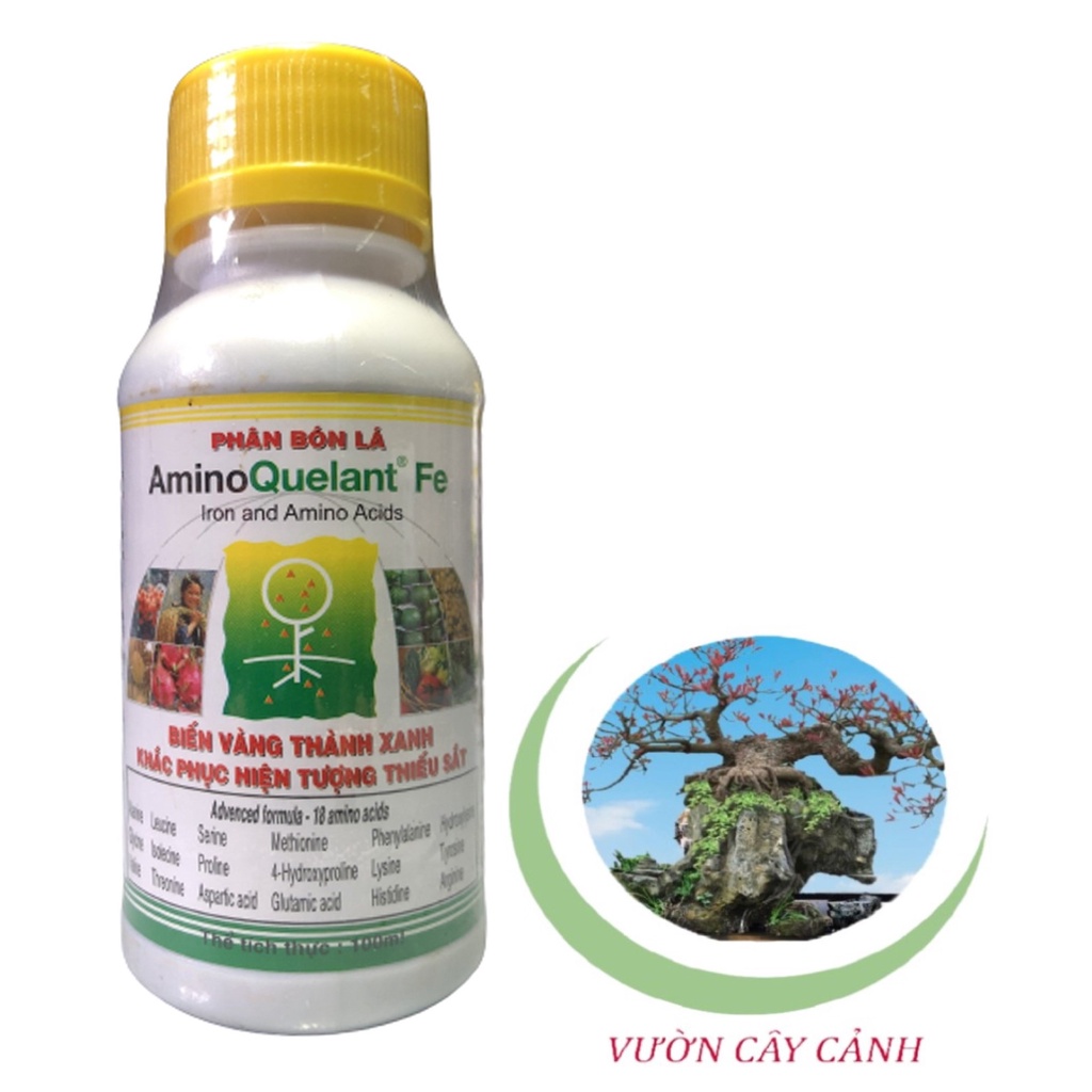 Phân Bón Lá Amino Quelant Fe - #066A# 100ml